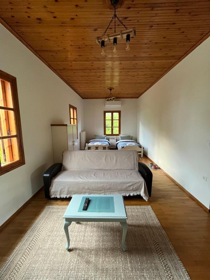 Вилла Lemon Tree House Леонидион Экстерьер фото